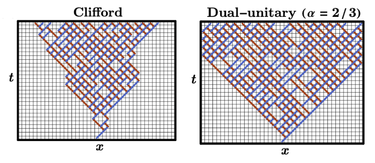 Dual-unitary shadows
